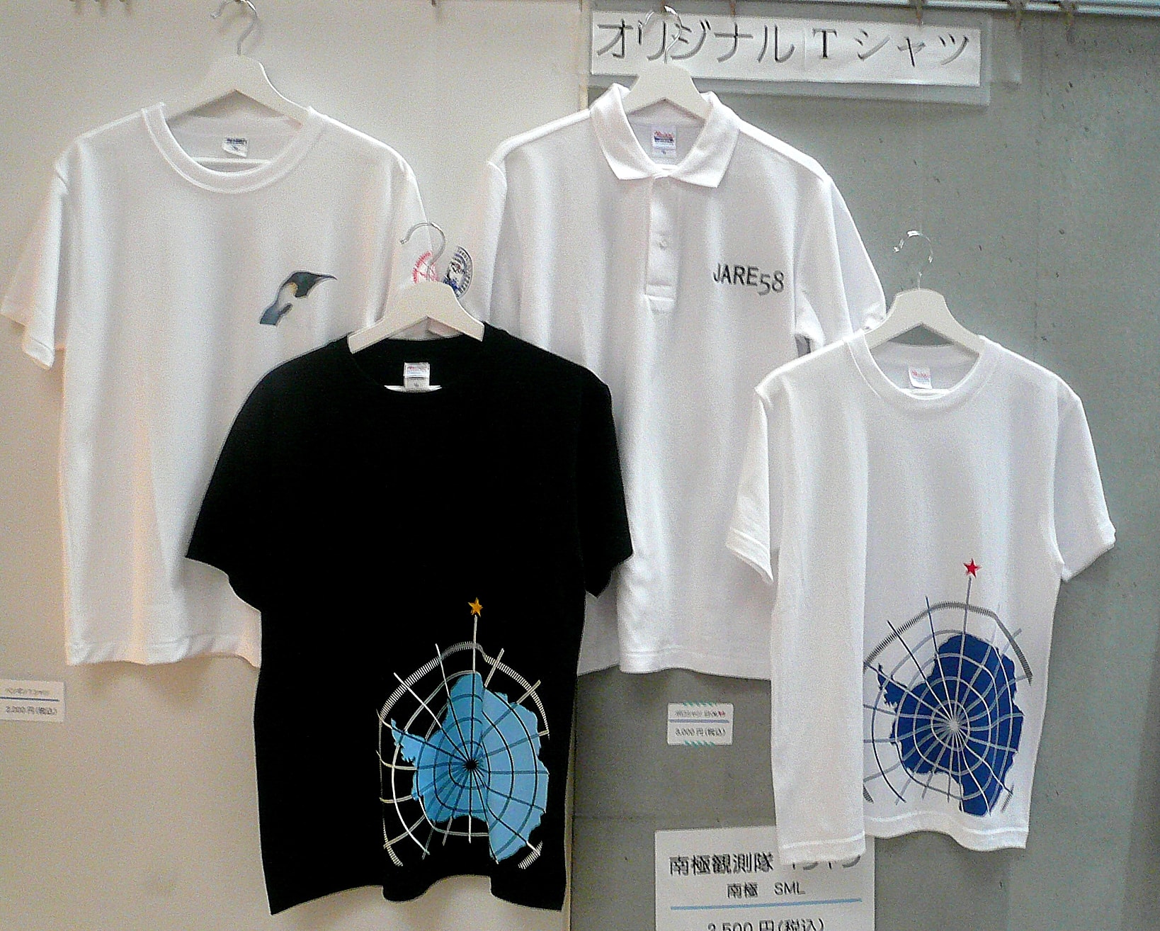 ②Tシャツ_NEW-min
