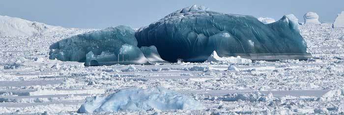 南極の氷はあと何年でとけてしまう 南極 北極を探検しよう 日本極地研究振興会のデジタル教材