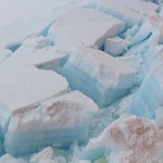 シリーズ「南極・北極の自然環境」第1回