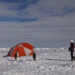 シリーズ「極地の観光」第2回